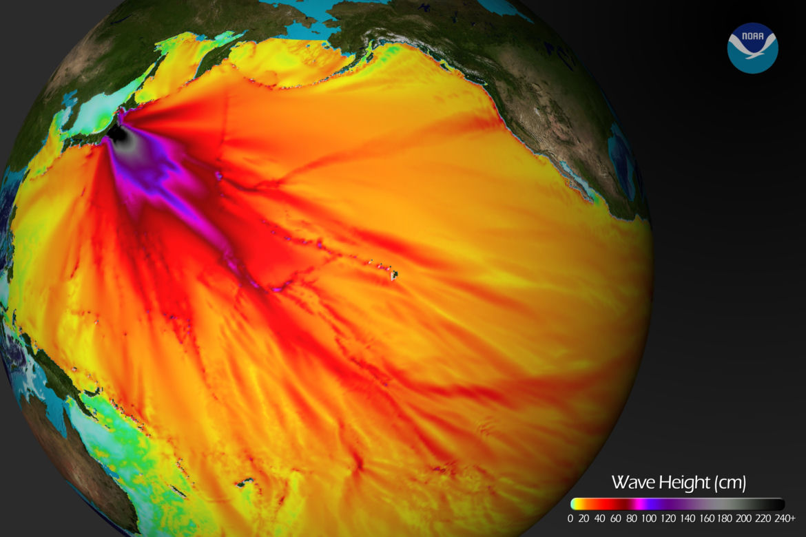 Wysokość fal w tsunami, które powstało po trzęsieniu ziemi w Japonii