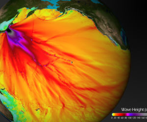 Wysokość fal w tsunami, które powstało po trzęsieniu ziemi w Japonii