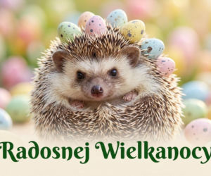 Oryginalna kartka wielkanocna