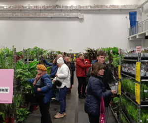 Festiwal Roślin w Enea Arenie