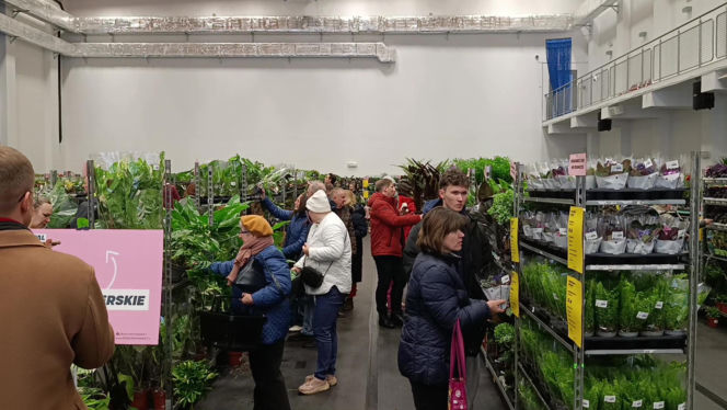 Festiwal Roślin w Enea Arenie