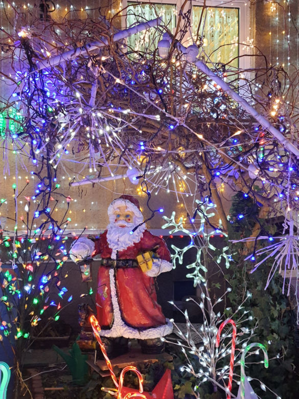 Odlotowy ogród na Bielanach. Niesamowite iluminacje!  