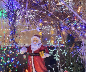 Odlotowy ogród na Bielanach. Niesamowite iluminacje!  
