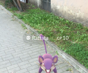 ulica Ostrowskiego, okolice redakcji Radia ESKA