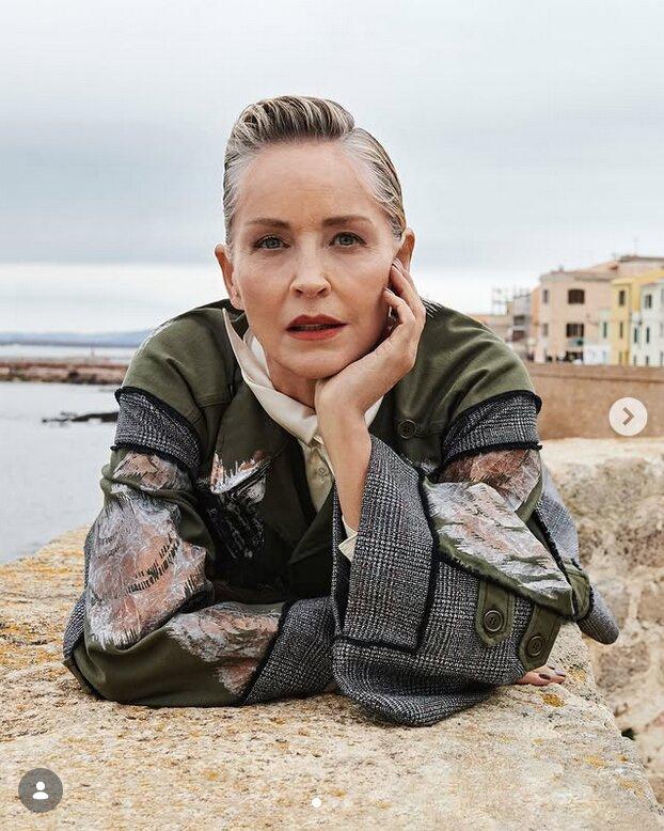 Nowa twarz Sharon Stone?! Sieć nie ma litości