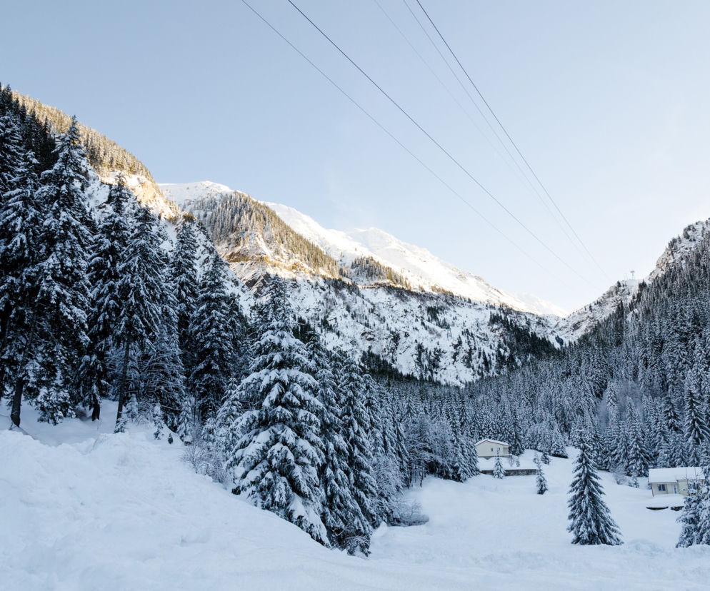 Czesi budują NIBEZPIECZNĄ atrakcję turystyczną przy granicy z Polską. Tylko dla odważnych! 