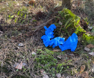 Światowa prasa pisze o śmierci Magdaleny Majtyki! Mówią o tajemnicy