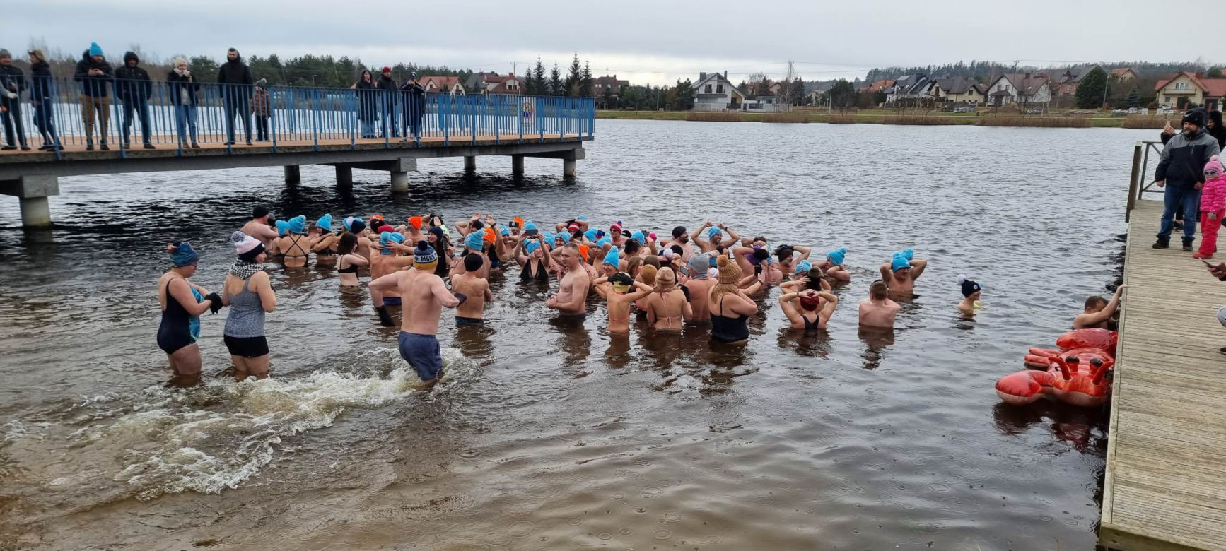 Wielkie liczenie morsów w Morawicy. Do wody weszło około stu osób! 