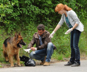 Komisarz Alex 4 sezon odcinek 40 (odc. 1). Michał Orlicz (Antoni Pawlicki), Lucyna (Magdalena Walach)