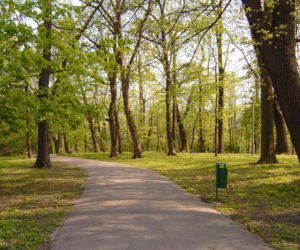Park Bednarskiego