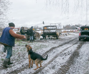 Rolnicy. Podlasie. Zima w Plutyczach