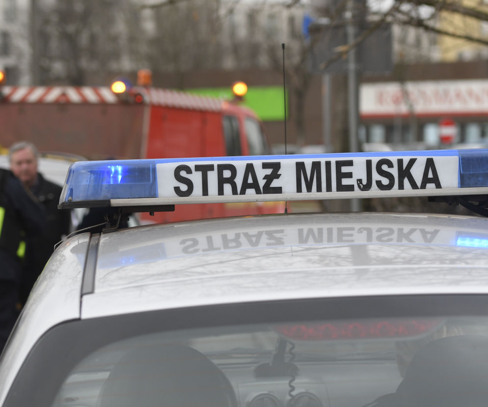 Stał na skraju lasu, wyglądał bardzo źle. Okazało się, że nikogo tam nie ma [ZDJĘCIA]
