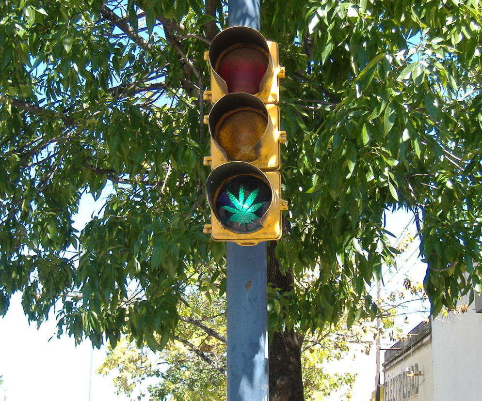Czy marihuana dostanie w Polsce zielone światło?