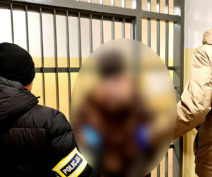 Spakował je do plastikowej torby i wyrzucił jak śmieci! Tak 64-latek spod Łodzi potraktował pięć żywych kociąt