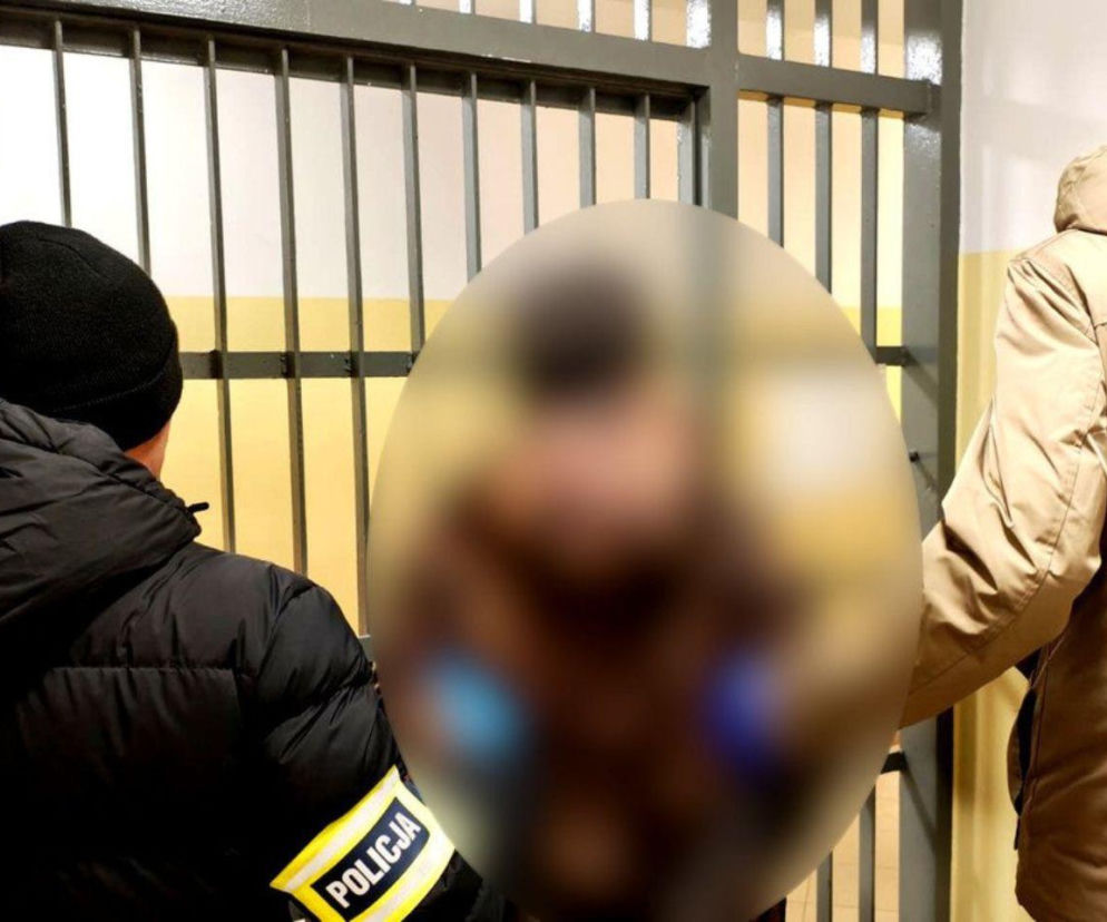 Spakował je do plastikowej torby i wyrzucił jak śmieci! Tak 64-latek spod Łodzi potraktował pięć żywych kociąt