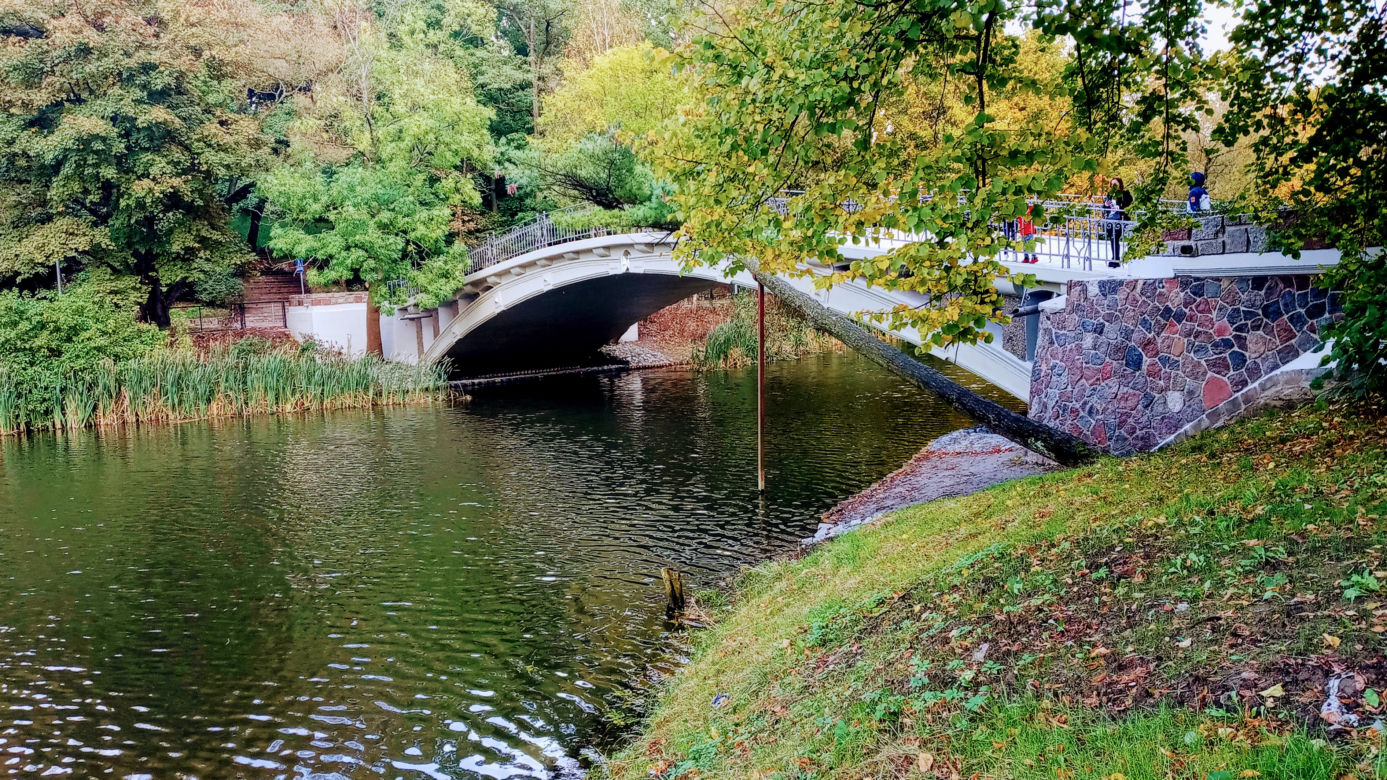 Wyremontowany mostek nad Rusałką