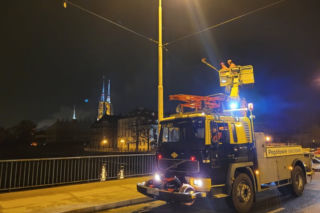 Wrocławskie łabędzie będą bezpieczniejsze? MPK znalazło sposób, by pomóc ptakom