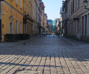 Czy poznaniacy stosują się do zakazów? Zaskakujące dane Straży Miejskiej! [ZDJĘCIA]
