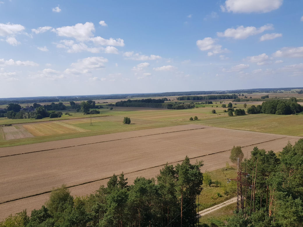 Wieża widokowa w Uhowie. To najwyższa wieża na Podlasiu [ZDJĘCIA]