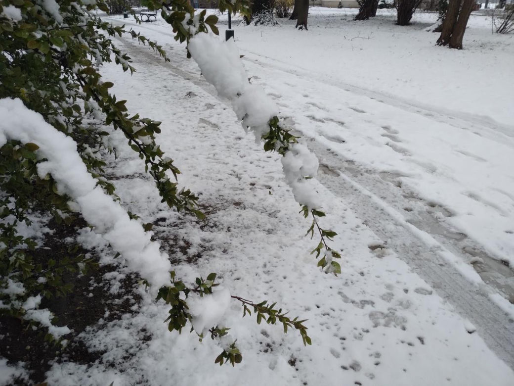 Zima w kwietniowym Zamościu. Sypnęło śniegiem