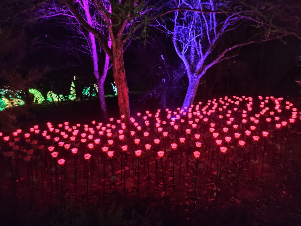 Park iluminacji w Lublinie