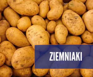Czego nie może jeść pies? Te rzeczy mogą mu poważnie zaszkodzić! [LISTA]