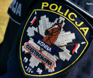 Miss Polski 2020 kusiła policjantów i rozdawała całusy! Piękna Anna-Maria Jaromin była bardzo przekonująca