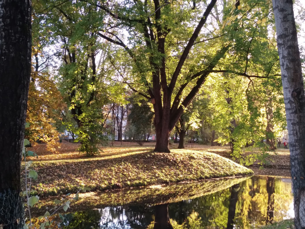 Park Skaryszewski