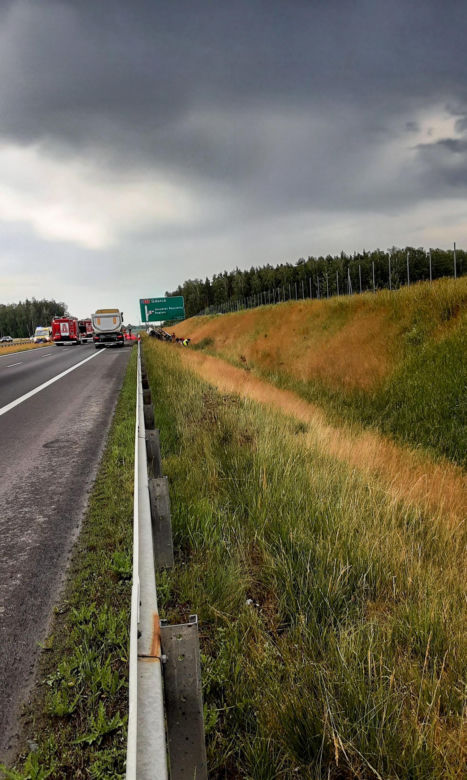 Dwóch mężczyzn nie żyje, kilku zostało rannych! Potworny wypadek busa na S7. Auto zostało zmasakrowane
