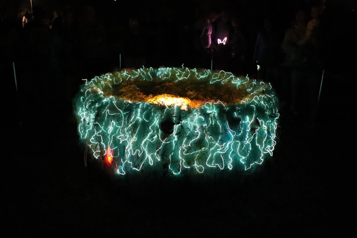 Bella Skyway Festival 2024 w Toruniu. Zdjęcia naszej reporterki z centrum miasta