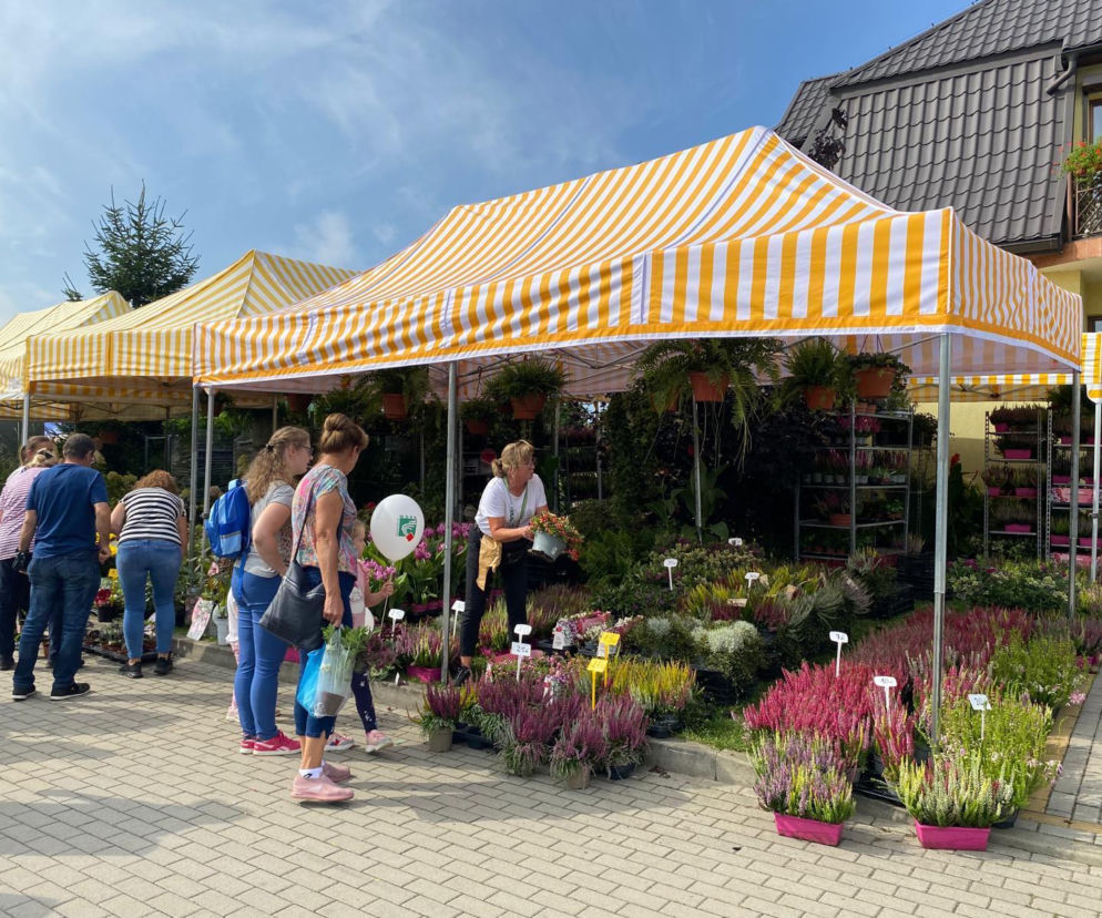 Przed nami kolejna AGROPROMOCJA w Starym Sączu.  Wystawa potrwa do niedzieli
