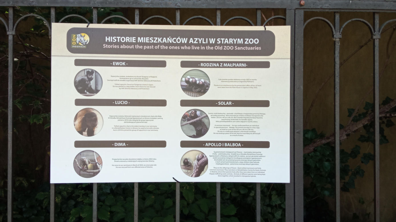 Stare ZOO w Poznaniu. Idealne miejsce na rodzinne spacery w sercu miasta 
