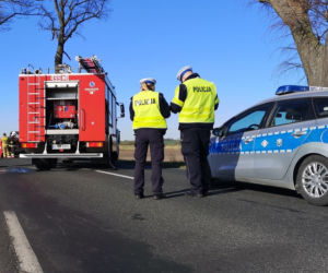 Skoda Octavia uderzyła w drzewo na prostej drodze