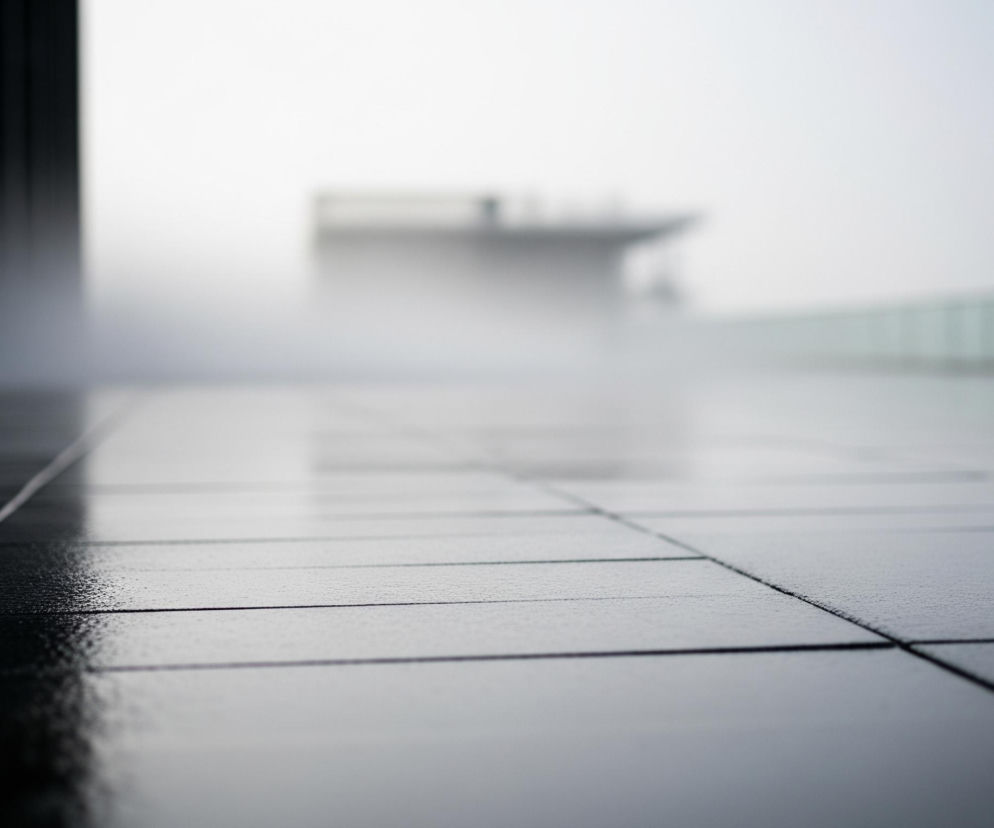 Podłoga w pierwszym planie pokryta jest ciemnymi, prostokątnymi płytami, sprawiającymi wrażenie mokrych, ponieważ odbijają światło. W lewym górnym rogu widać fragment ciemnej ściany z pionowymi pasami. Dalej, w centrum obrazu, unosi się biała mgła, zasłaniająca odległe, rozmyte kształty budynków w szaro-białym kolorze. Po prawej stronie widać fragment barierki z przezroczystymi panelami.
