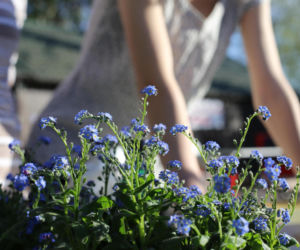 Pogoda na weekend w Gorzowie Wielkopolskim 17-19 kwietnia. Niedziela przyniesie ochłodzenie i deszcz