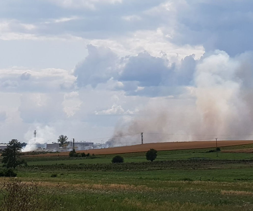 Potężny pożar pod Goleniowem! Płoną pola w pobliżu przepompowni gazu!