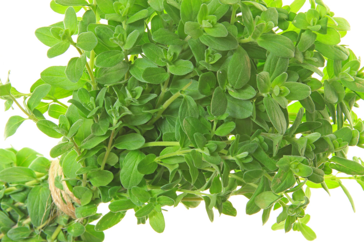 Majeranek