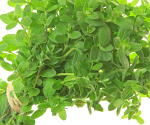 Majeranek