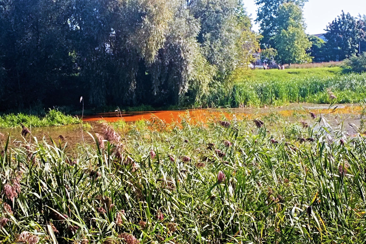 Zanieczyszczone Jezioro Słoneczne