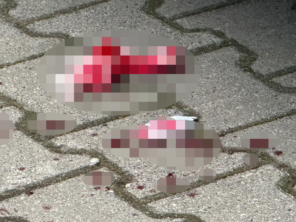 Napad w Wólce Kosowskiej. Krew lała się po ulicach!