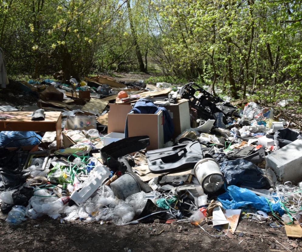 Nielegalne wysypisko śmieci na Targówku