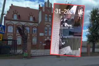 Nauczycielka przejechała Laurę. „Nie mówi, nie chodzi i wymaga całodobowej opieki”