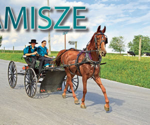 Amisze wspólnota, dla której czas stanął w miejscu