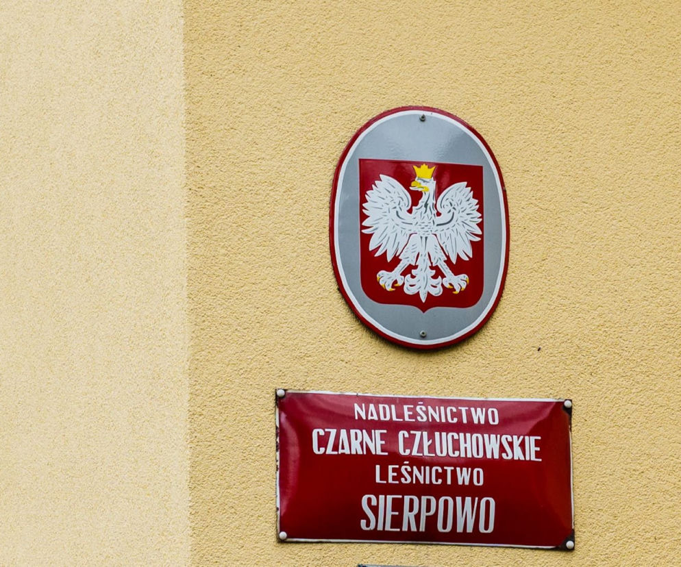 Zastrzelił swoją żonę