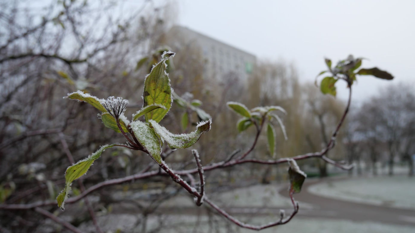 Prognoza pogody na Święta 2019
