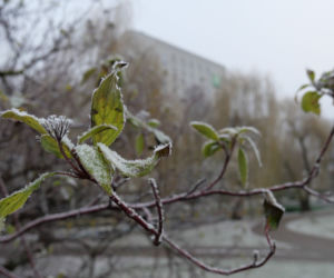 Prognoza pogody na Święta 2019