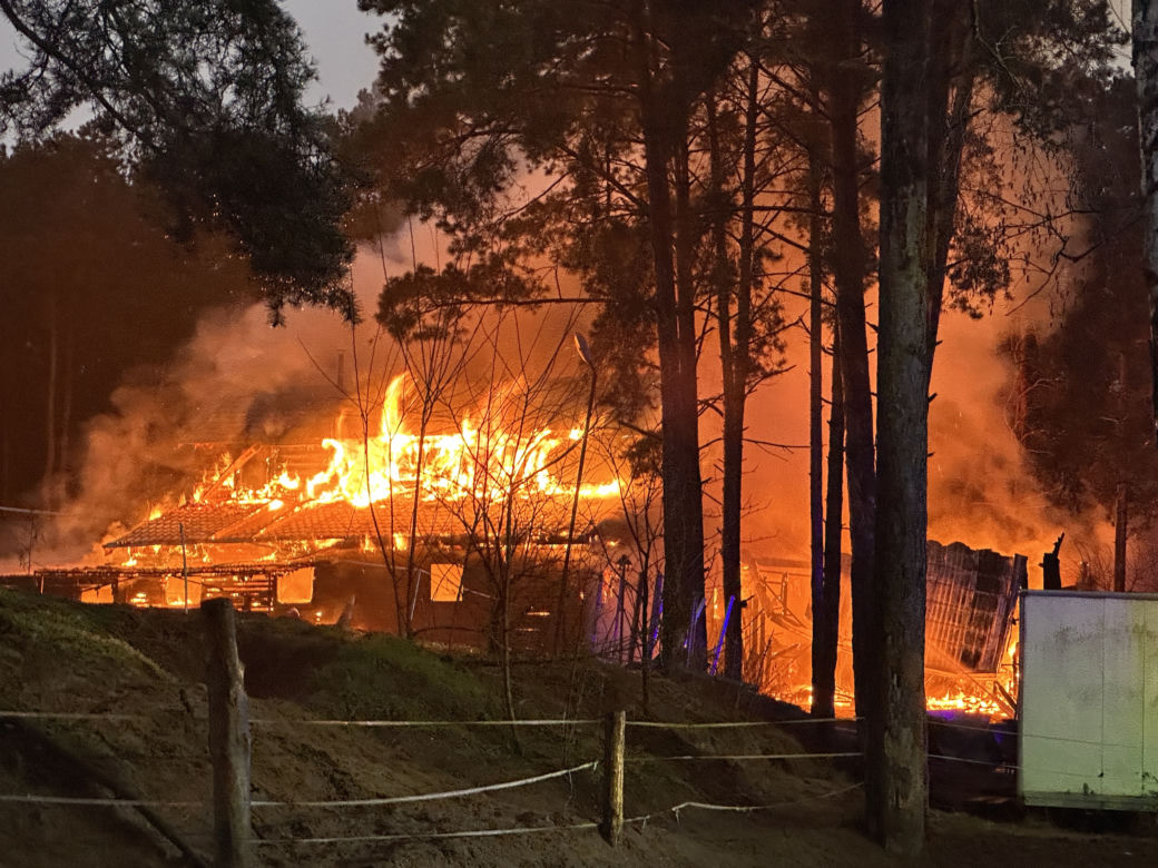  „Chwile przed tragedią miejsce tętniło życiem”. Ogromny pożar stadniny na Białołęce. Spłonęło 8 koni