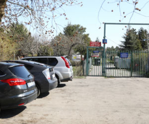 Ogródki działkowe w czasie pandemii