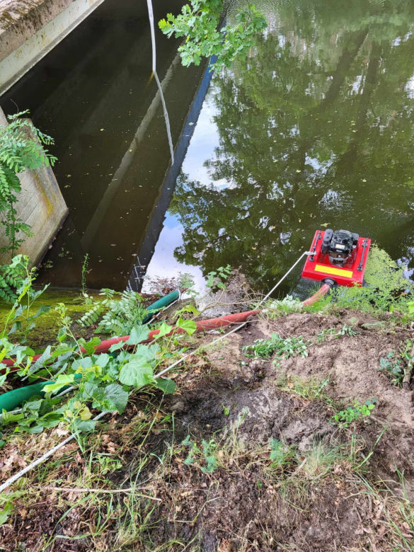 Duży pożar lasu w powiecie wolsztyńskim. Poszkodowani zostali strażacy!