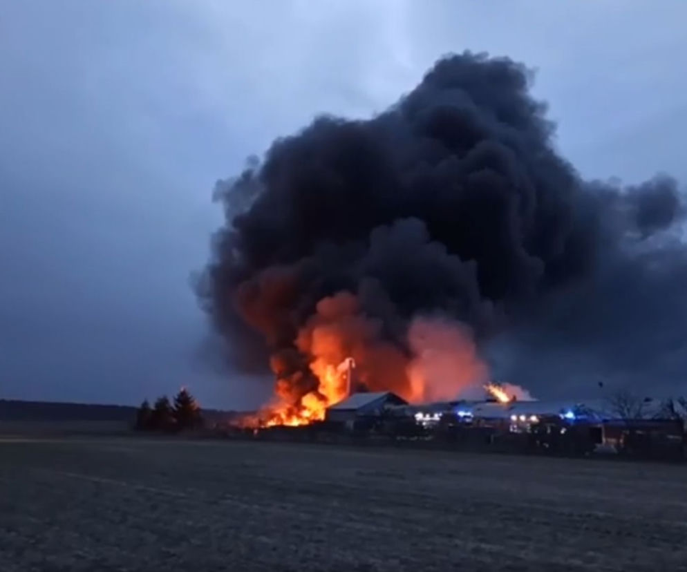 Dolnośląskie. Płonie hala produkcyjna ze zniczami! [FILM]